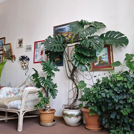 Tamari Guest House Τελάβι Εξωτερικό φωτογραφία