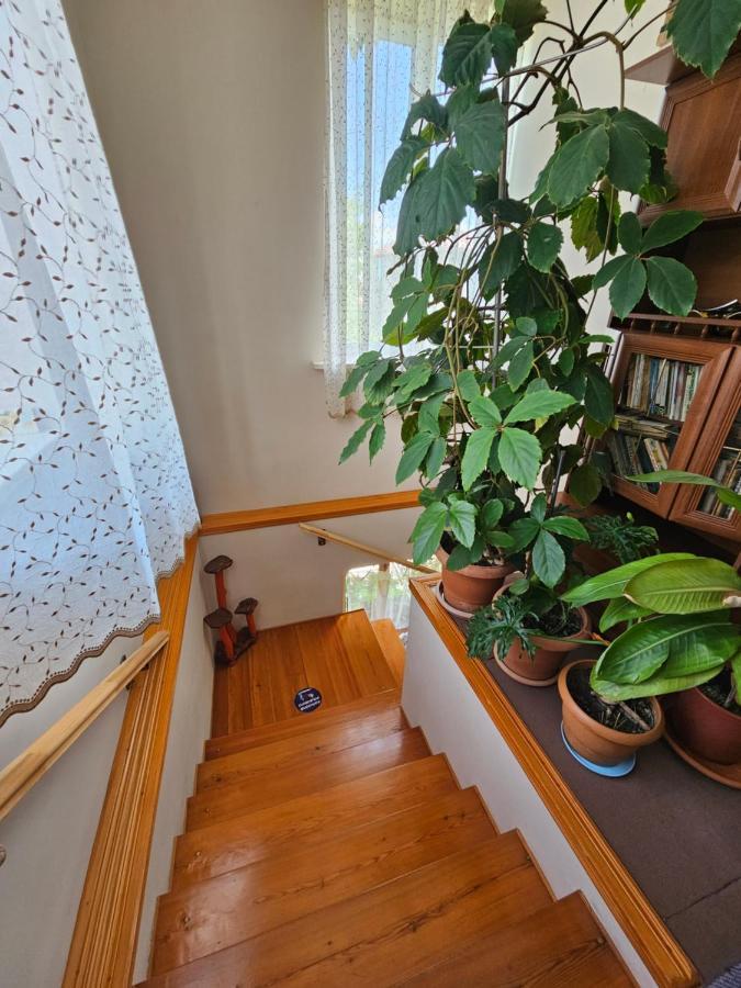 Tamari Guest House Τελάβι Εξωτερικό φωτογραφία