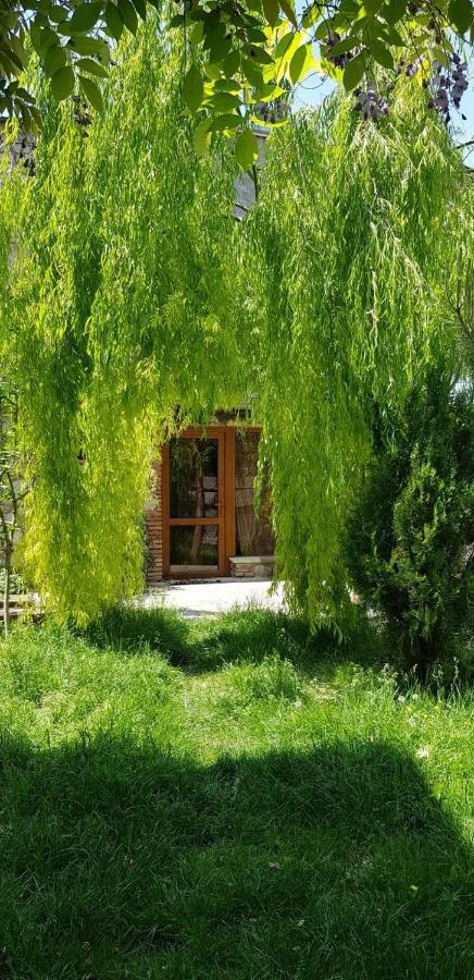 Tamari Guest House Τελάβι Εξωτερικό φωτογραφία